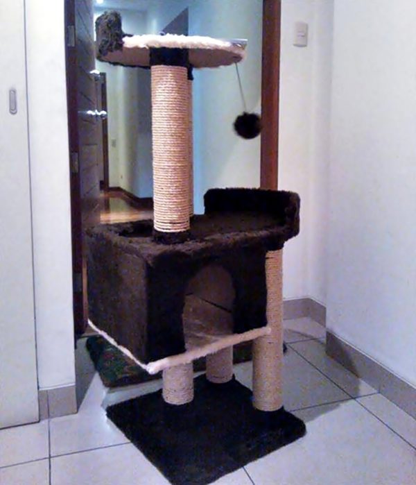 Rascador Para Gatos Mascotas Modelo Carolina goofertas 2