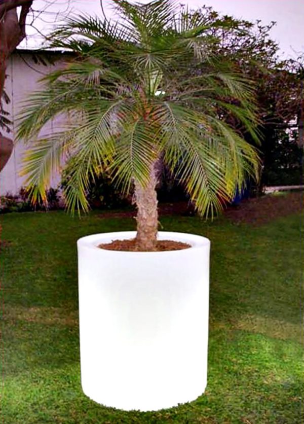 Maceta de Plástico 100 iluminada (Polietileno) - Imagen 2