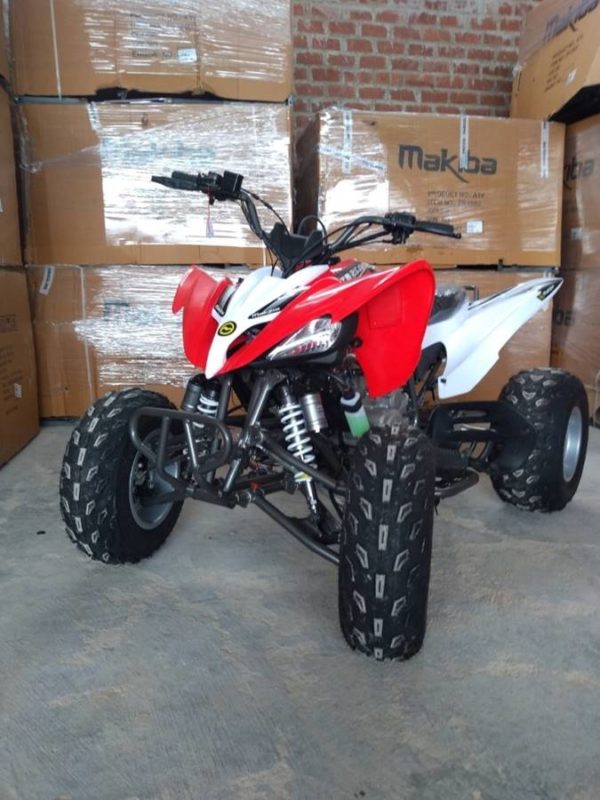 Cuatrimoto Deportiva Makiba MAK250D - Imagen 3