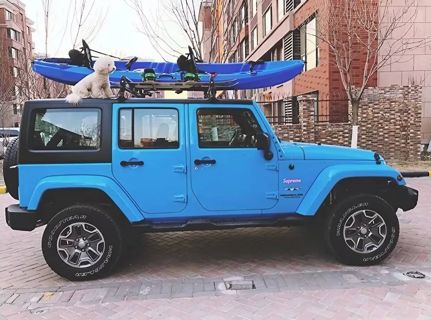 Kayak Tricolor para 2 personas Gravital JP-DK06-MIX goofertas 6